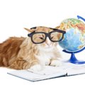 猫は完璧な生き物！猫を称えた偉人６人の言葉