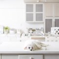 猫がテーブルに乗って困る！防ぐ方法５つ