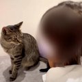 小さい女の子が“なかよしの愛猫”の元気がないことに気がついて…あまり…