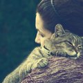 猫の飼い主に多いペットロスでの悩みと解決法をカウンセラーが解説