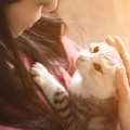 ダレノガレ明美さんも猫好き芸能人！名前やエピソード
