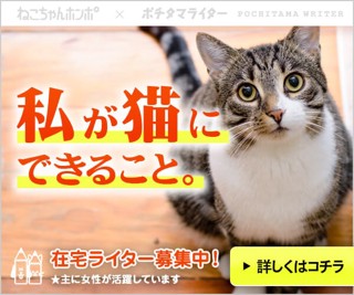 ポチライター