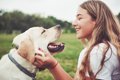 犬が飼い主にみせる…の画像