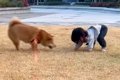 1歳の女の子が転んで…の画像