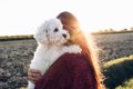 犬が人に抱っこされ…の画像