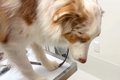 健康診断のために病…の画像