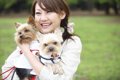 犬の信頼を失ってし…の画像