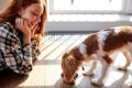 犬が食べても大丈夫…の画像