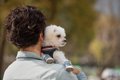犬に強要すべきでな…の画像