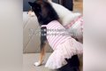 5000円の可愛い服が…の画像