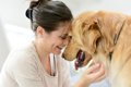 犬が頭を押し付けて…の画像
