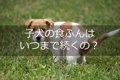 子犬の食糞はいつま…の画像