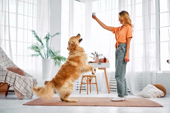 室内で遊ぶ女性と犬