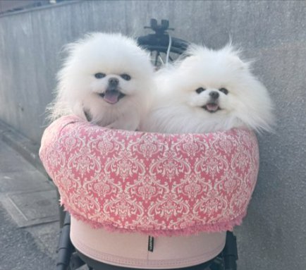微笑ましい