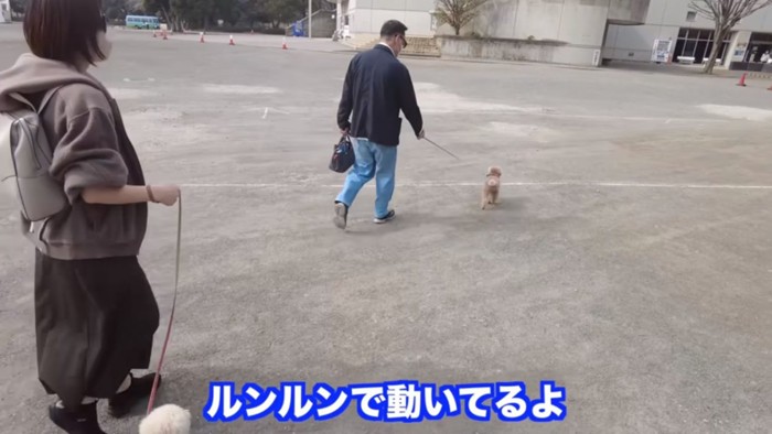 おじいちゃんと散歩する虎太郎くん